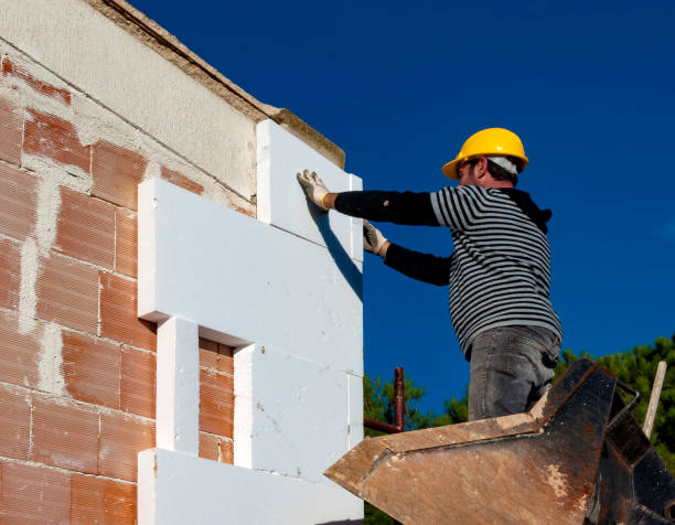 Professional Insulation Contractor in Mono Vista, CA