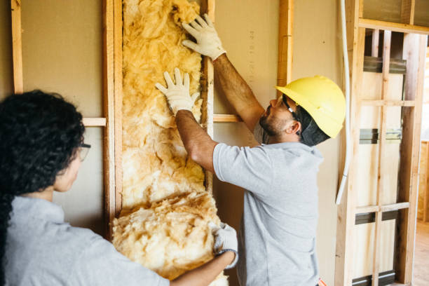 Soundproof Insulation Installation in Mono Vista, CA